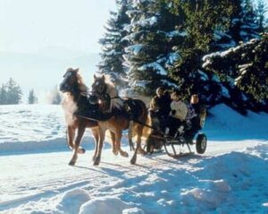 From Salzburg: 8-hour Horse-Drawn Tour w/ 2-hour Sleigh Ride - Getting started: Mirabellplatz pickup and the 1.5-hour ride into the Alps