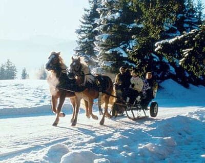From Salzburg: 8-hour Horse-Drawn Tour w/ 2-hour Sleigh Ride - Getting started: Mirabellplatz pickup and the 1.5-hour ride into the Alps