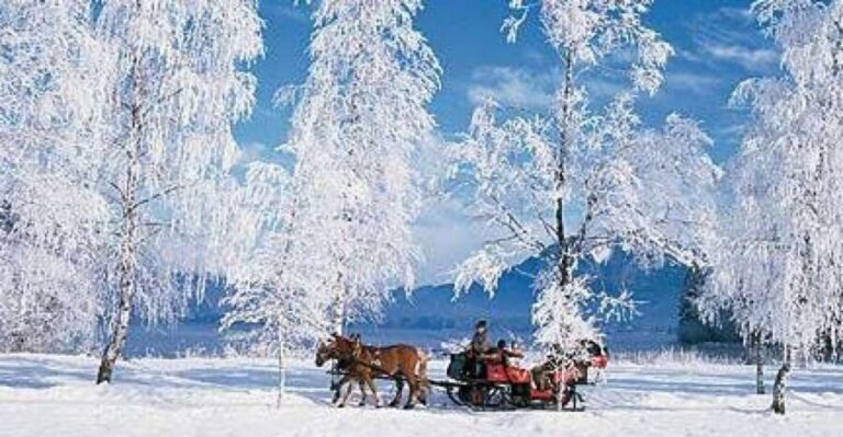 From Salzburg Romantic Carriage Ride through the Countryside - Hotel Pickup, the Meeting Point, and Staying Sane in Cold Weather