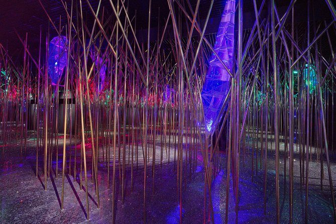 Innsbruck and Swarovski Crystal Worlds Private Tour from Salzburg - How to Make This Day Run Smoothly (and Avoid Timing Traps)